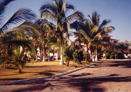 L'htel Bahia Del Sol.