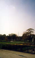Le Jardin des Tuilleries.  l'ouest du Muse du Louvre. Au loin la Tour Eiffel.(09/10/1999)
